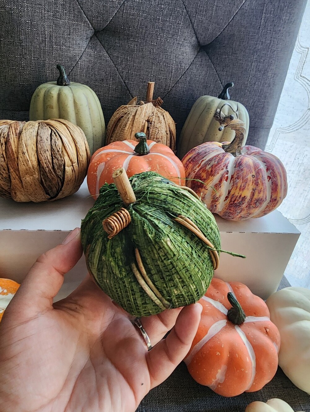 Assorted Mini Pumpkins - Picture 7 of 11